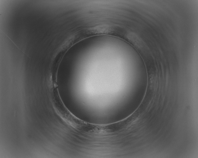X0000070200254200605261233