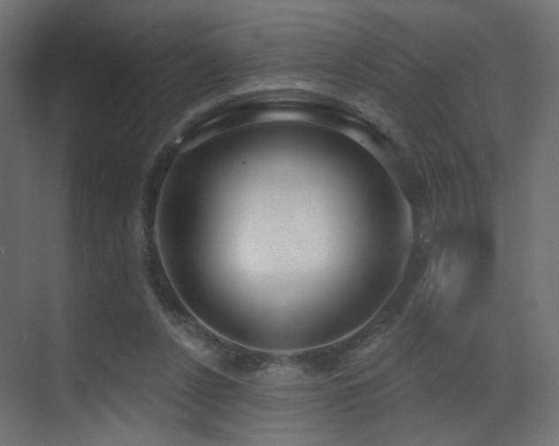 X0000070200256200605261233