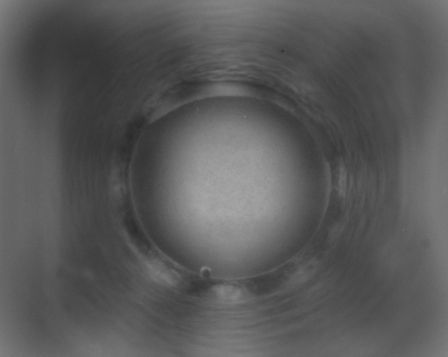 X0000070200272200605261234