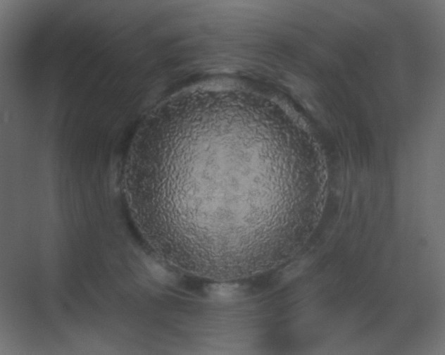 X0000070200273200605261234