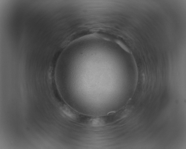 X0000070200275200605261234