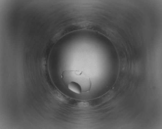 X0000070200279200605261234