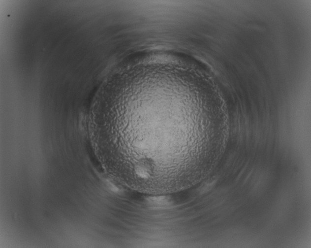 X0000070200281200605261234