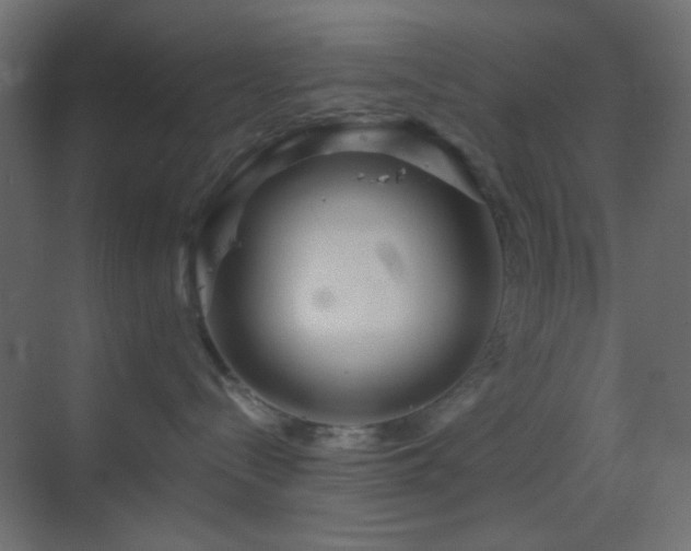 X0000070200288200605261234