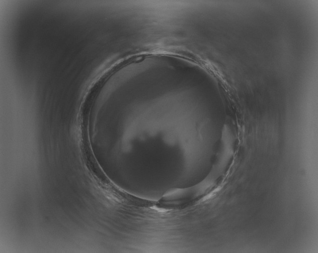 X0000070200295200605261233