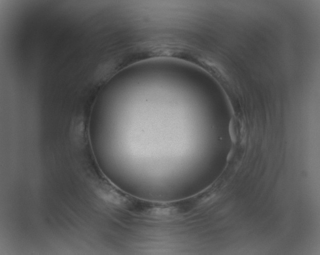 X0000070200314200605261233