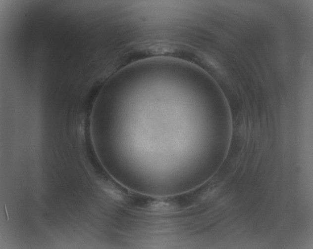 X0000070200315200605261233