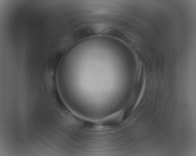 X0000070200319200605261233