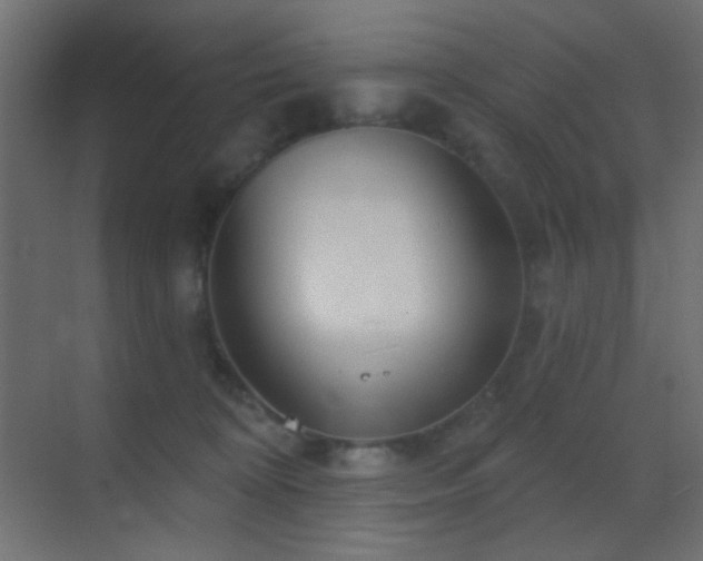 X0000070200324200605261233