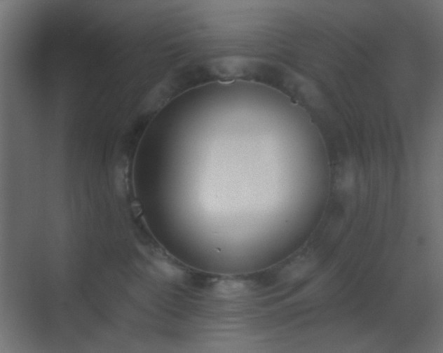 X0000070200332200605261232