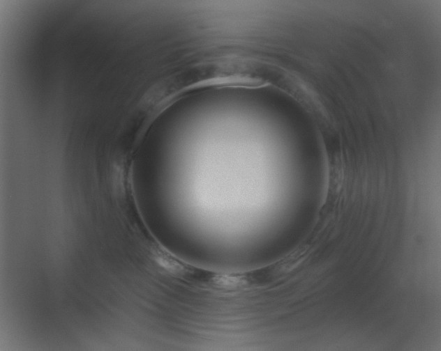 X0000070200333200605261232