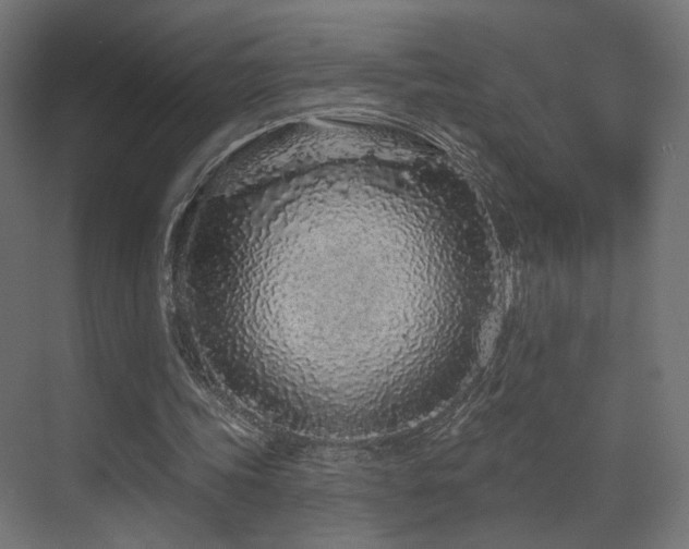 X0000070200339200605261232