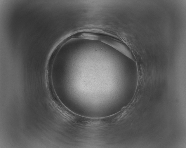 X0000070200342200605261232