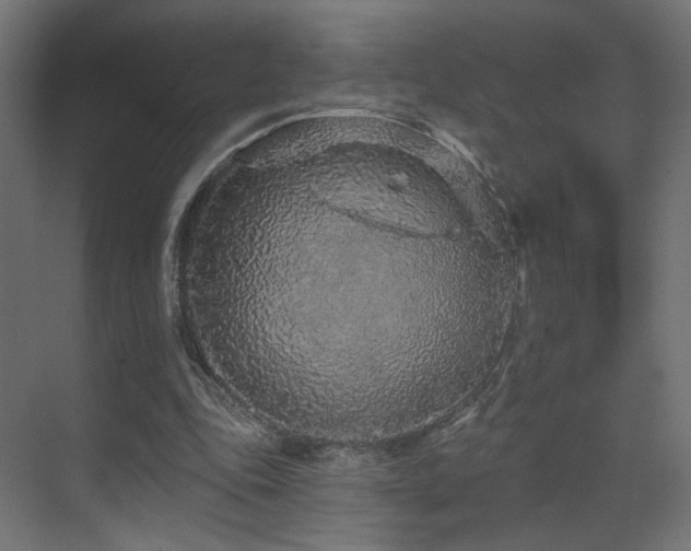 X0000070200343200605261232