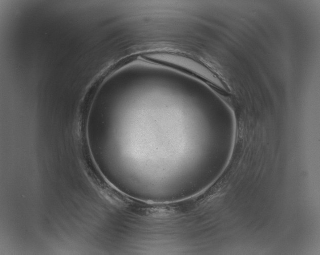 X0000070200347200605261232