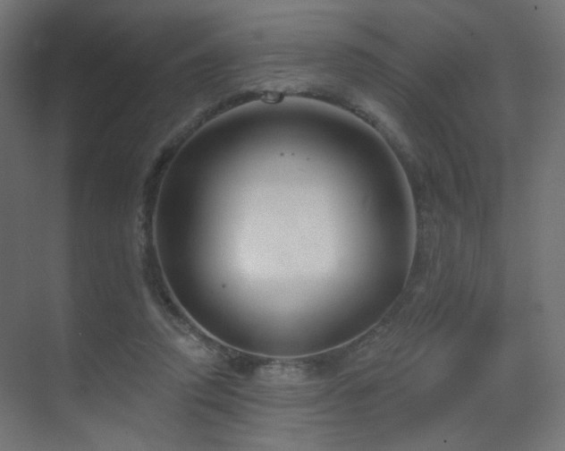 X0000070200354200605261232