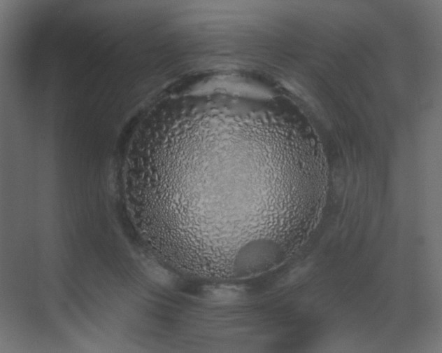 X0000070200359200605261232