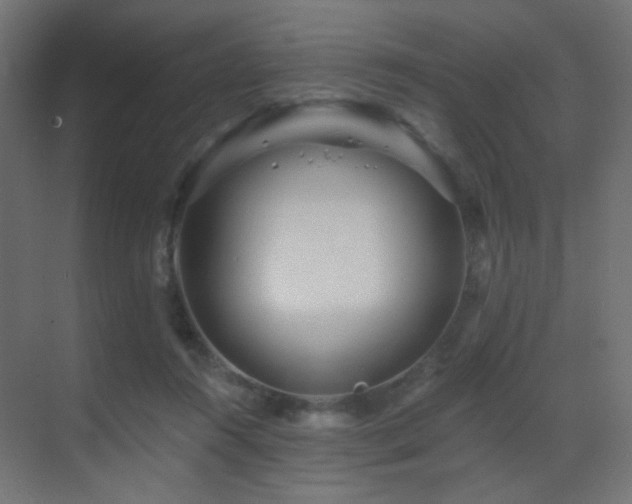 X0000070200360200605261232