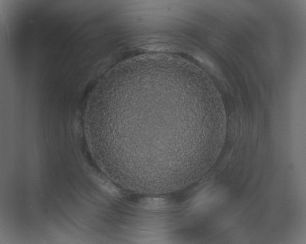 X0000070200361200605261232