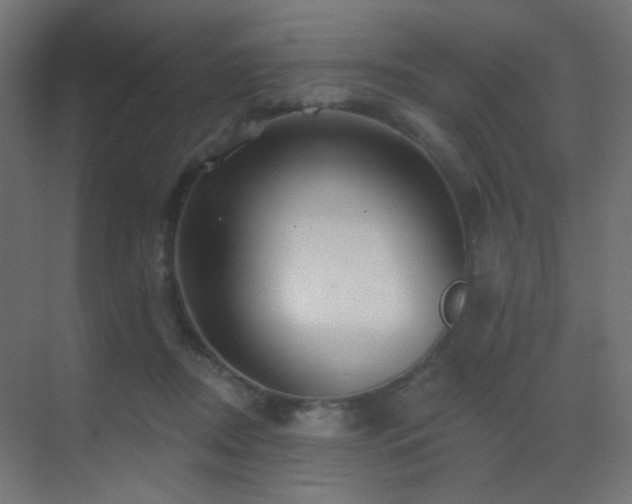 X0000070200362200605261232