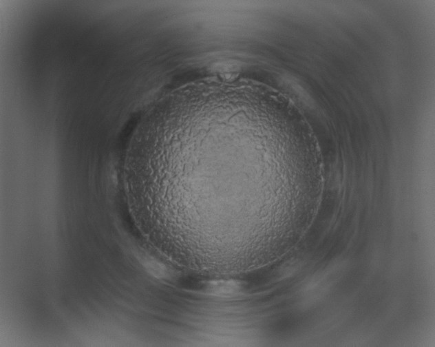 X0000070200363200605261232