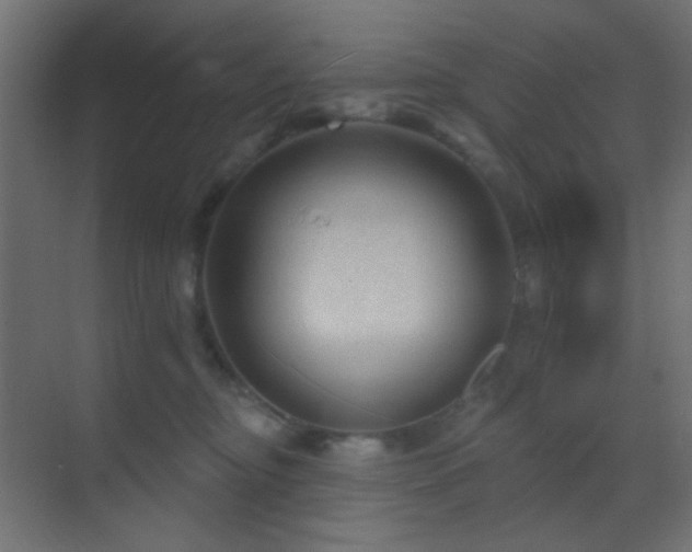X0000070200374200605261232