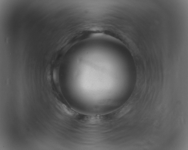 X0000070200384200605261232
