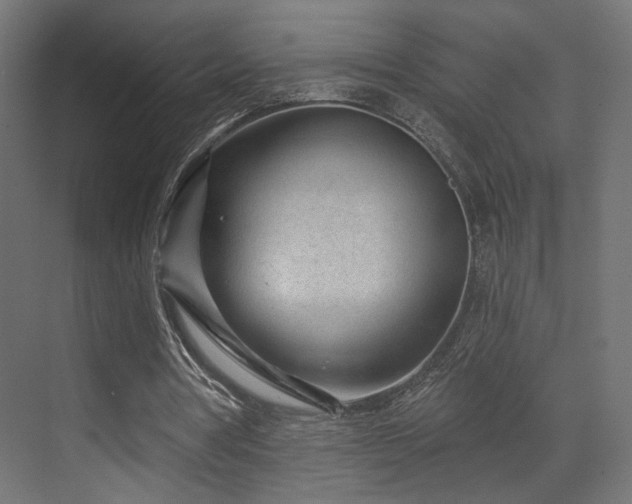 X0000070200386200605261232