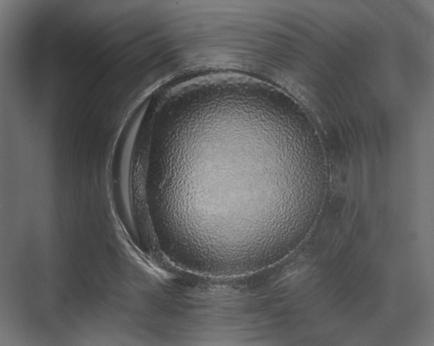 X0000070200390200605261231