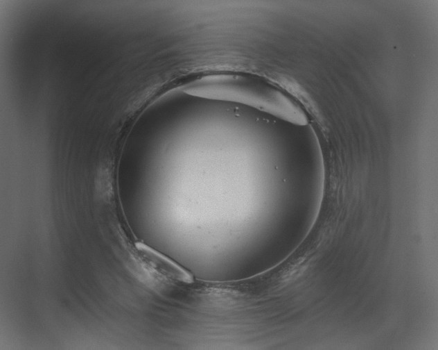 X0000070200393200605261231