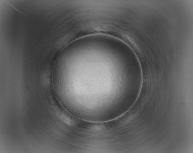 X0000070200402200605261231