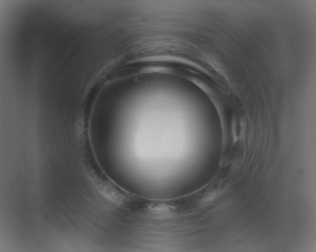 X0000070200407200605261231