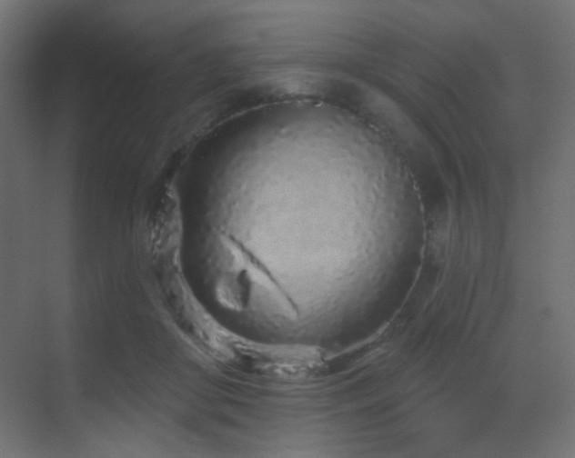 X0000070200410200605261231