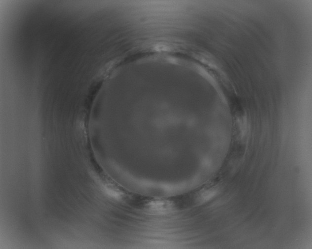 X0000070200415200605261231
