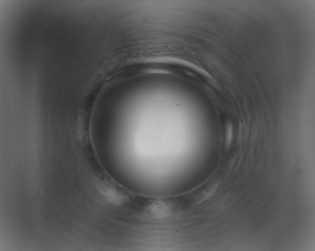 X0000070200416200605261231