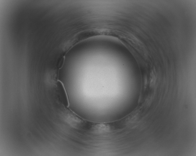 X0000070200421200605261231