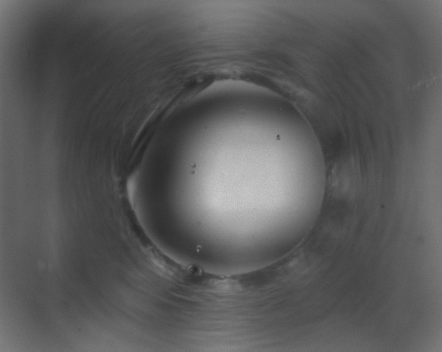 X0000070200424200605261231
