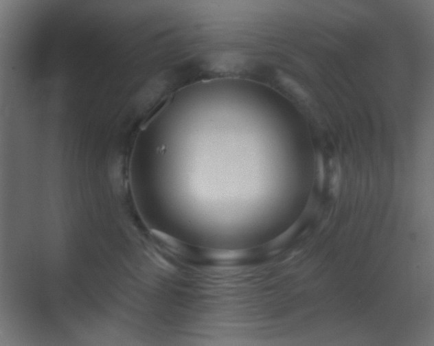 X0000070200428200605261231