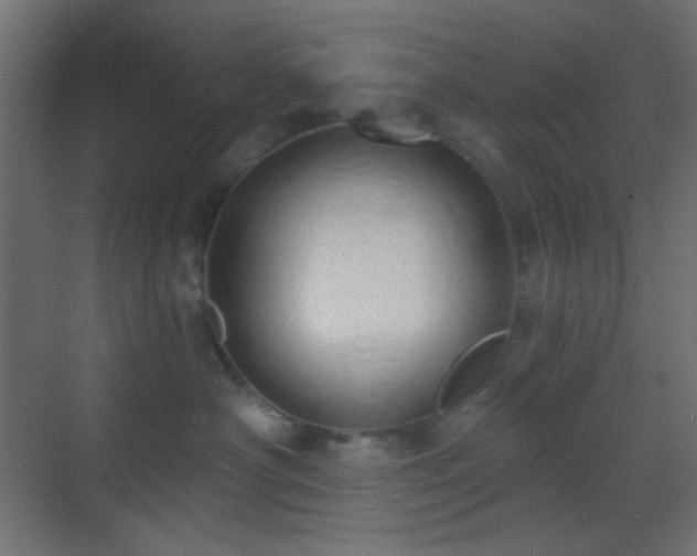 X0000070200430200605261231