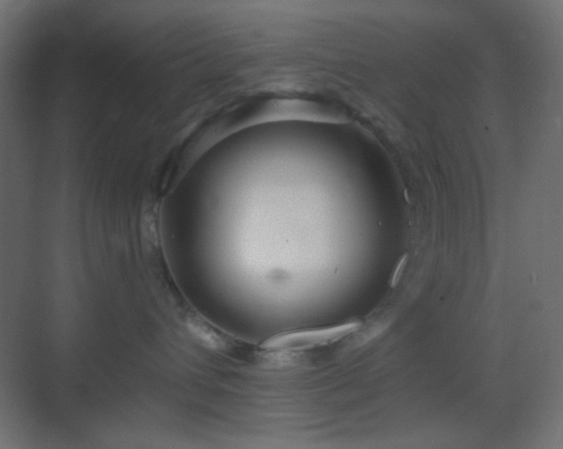 X0000070200432200605261231