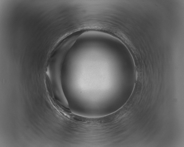 X0000070200434200605261230