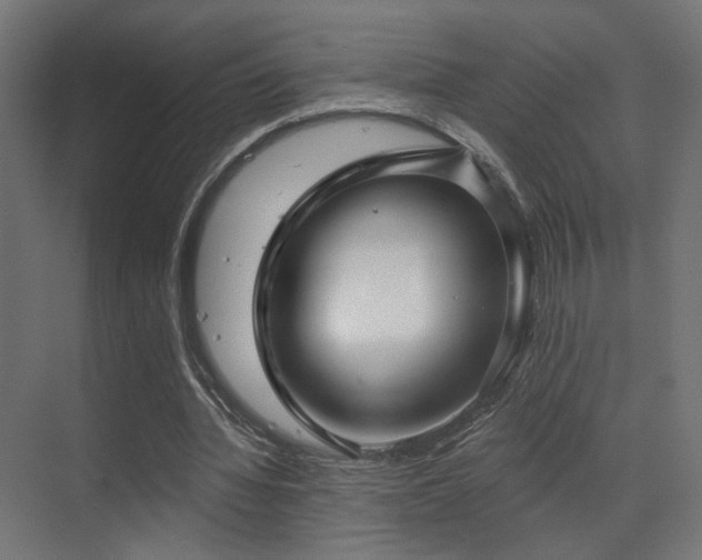 X0000070200436200605261230