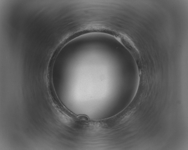 X0000070200439200605261230