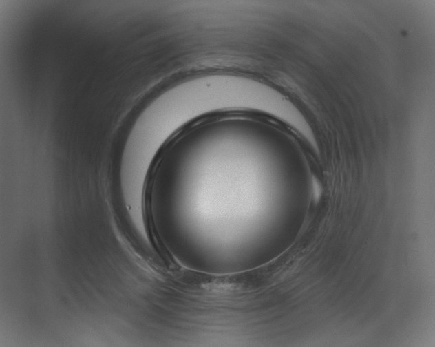 X0000070200448200605261230
