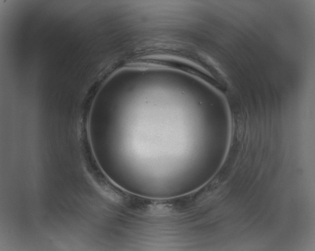 X0000070200451200605261230