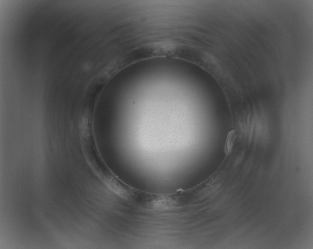 X0000070200468200605261231