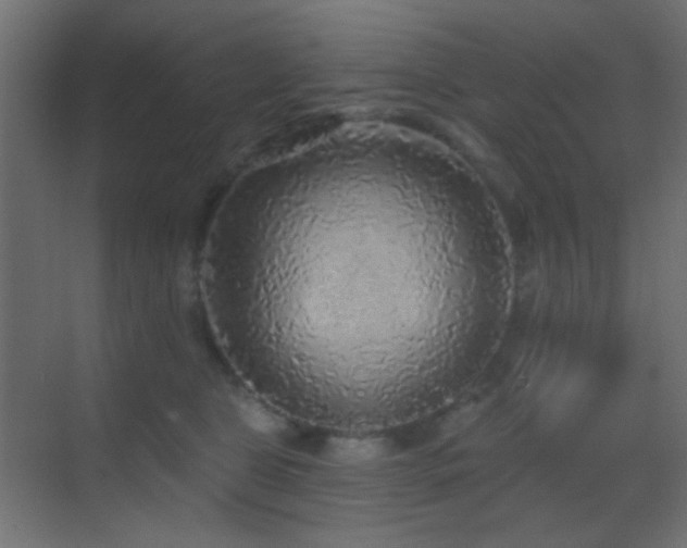 X0000070200469200605261231