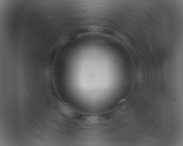 X0000070200473200605261231
