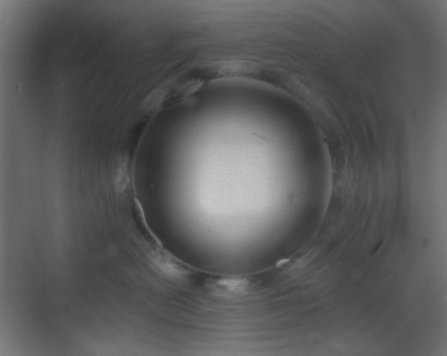 X0000070200478200605261231
