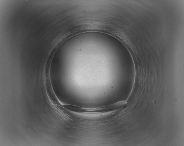 X0000070200482200605261230